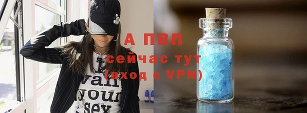 сатива Магас