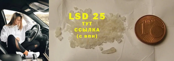 сатива Магас
