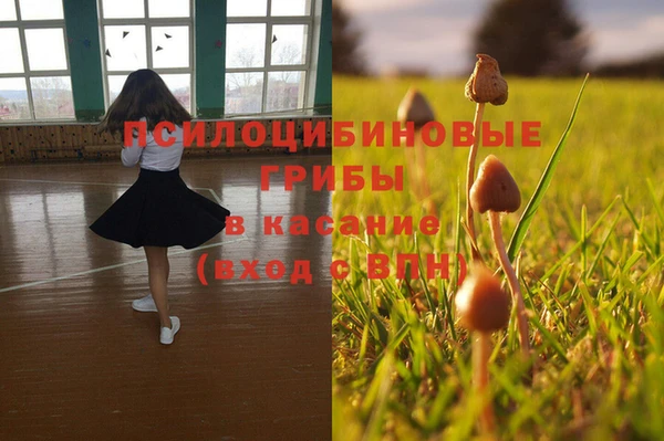 герыч Майский