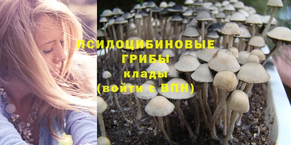 сатива Магас