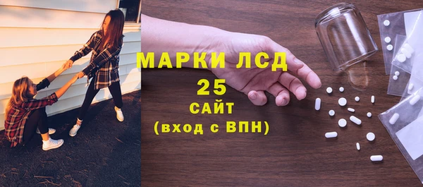 сатива Магас